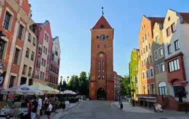 Elbląg 43
