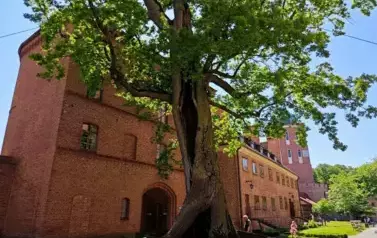 Frombork 46