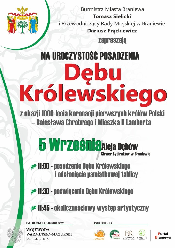 Dąb Kr&oacute;lewski w&nbsp;Braniewie &ndash; symbol jedności pokoleń