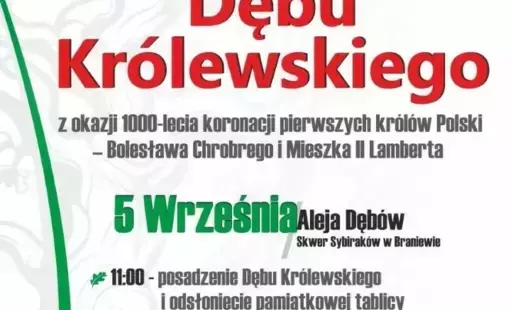 Dąb Królewski w Braniewie – symbol jedności pokoleń